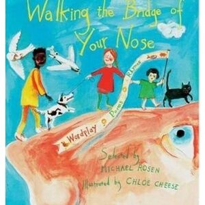 Walking the Bridge of Your Nose: Wordplay Poems Rhymes Hardcover